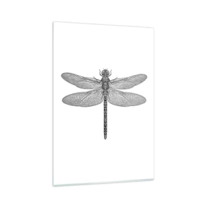 Quadro su vetro - Disegno in bianco e nero di una libellula su sfondo bianco in stile minimalista - 80x120cm - La precisione della natura - Decorazione murale moderna per soggiorno e camera da letto ARTTOR