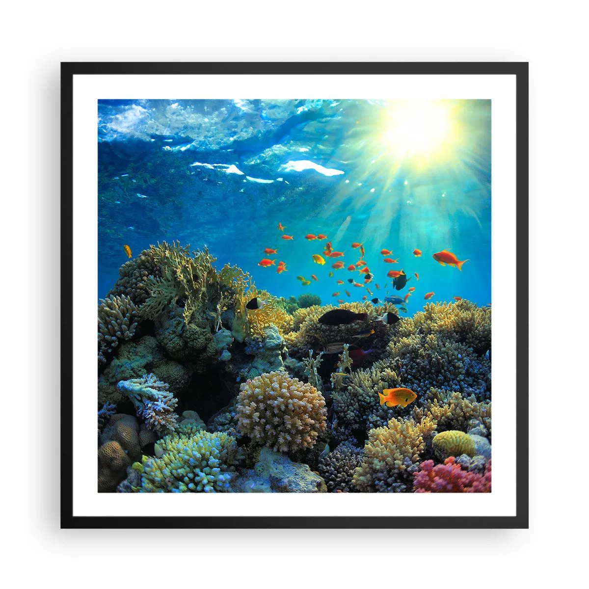 Poster in cornice nera - Tesori sotto al mare - 60x60 cm