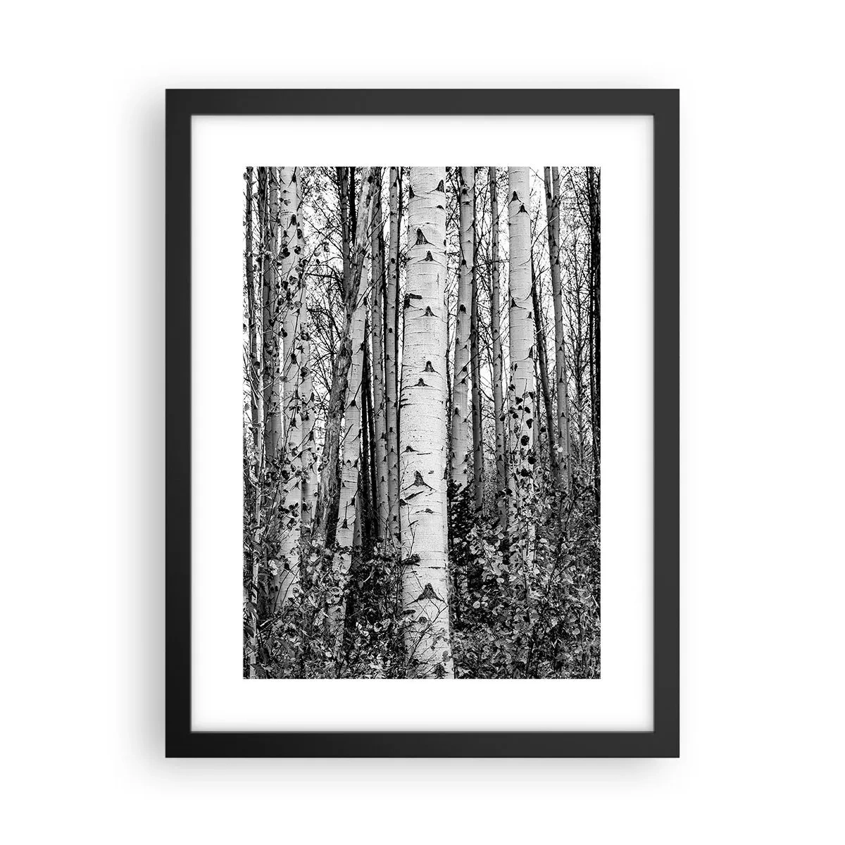 Poster in cornice nera - Colonnato di betulle - 30x40 cm