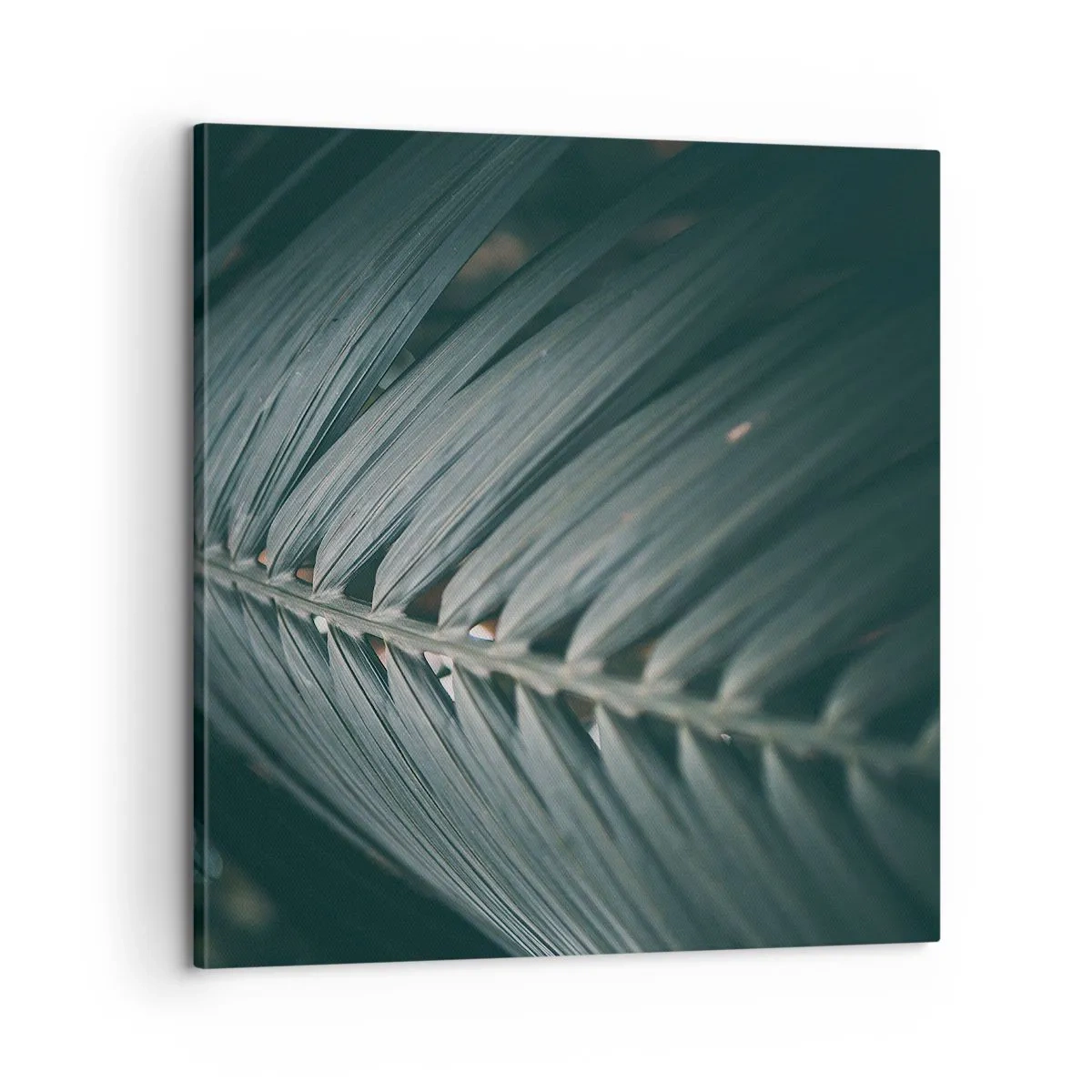 Quadro su tela - Stampe su Tela - La precisione della natura - 60x60 cm