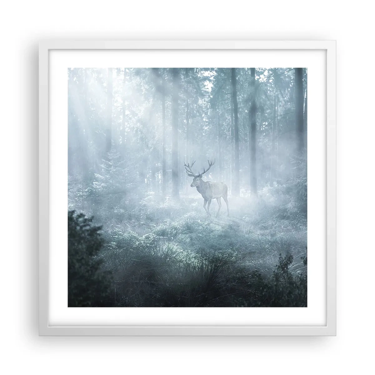 Poster in cornice bianca - Passeggiata mattutina sulle sue terre - 50x50 cm