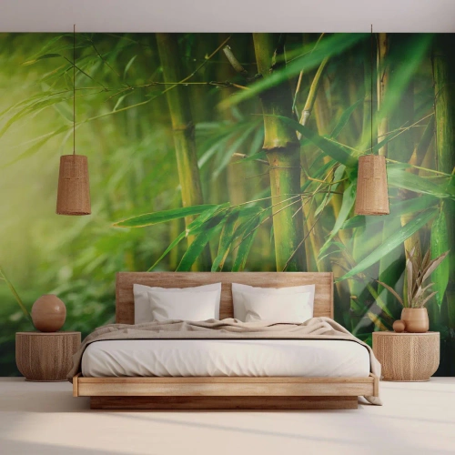 Fotomurale su misura Standard Eco - Conoscere il verde in sé - Pianta, Bambù, Giungla