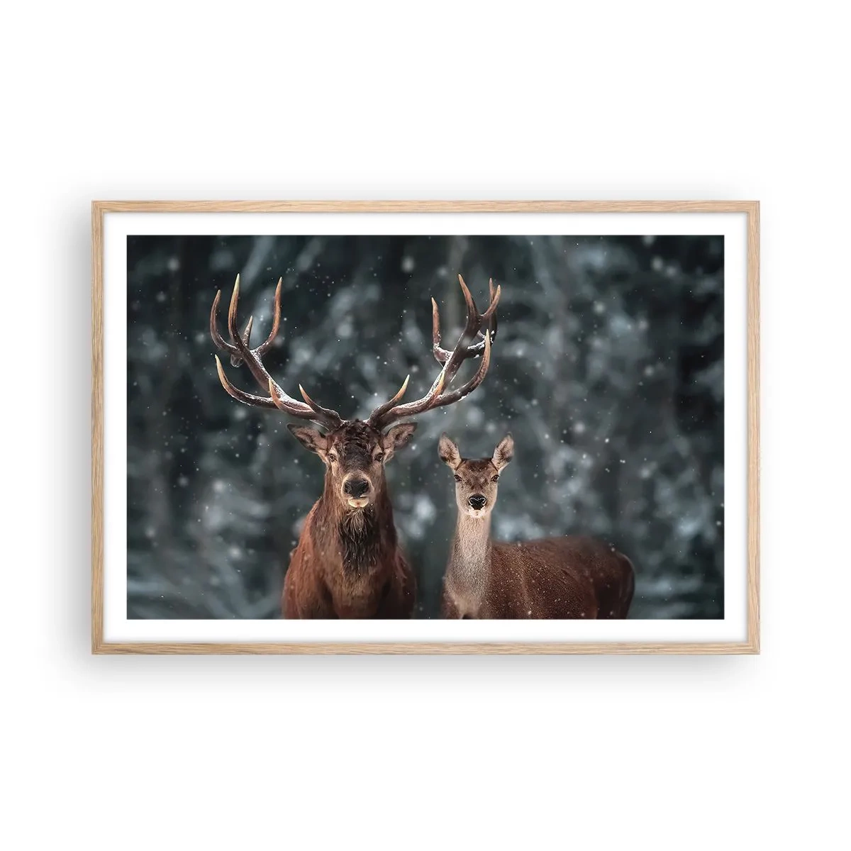 Poster in cornice rovere chiaro - Il re della foresta con la consorte - 91x61 cm
