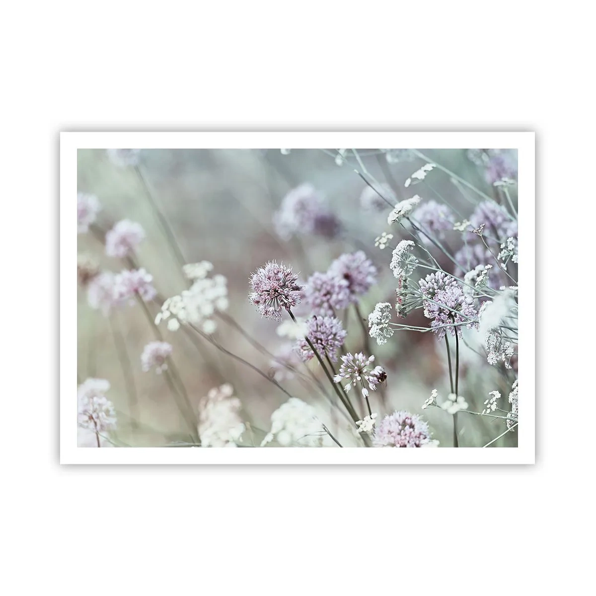 Poster - Fiori delicati in tonalità pastello - 100x70cm - Le dolci filigrane delle erbe - Decorazione murale moderna per soggiorno e camera da letto ARTTOR