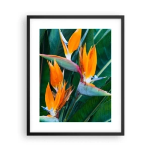Poster in cornice nera - È un fiore o un uccello? - 40x50 cm