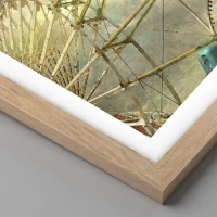 Rovere chiaro