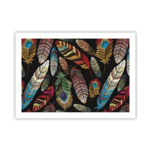 Poster - Il carnevale degli uccelli - 70x50 cm