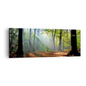 Quadro su tela - Stampe su Tela - Una radura della foresta illuminata dai raggi del sole - 140x50cm - Luci e ombre - Decorazione murale moderna per soggiorno e camera da letto ARTTOR