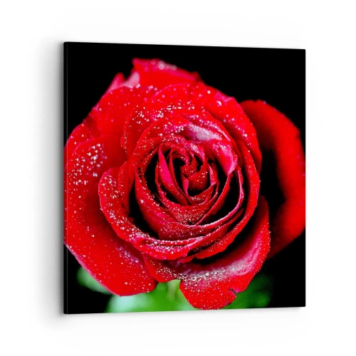 Quadro su tela - Stampe su Tela - Ecco l'amore - 70x70 cm