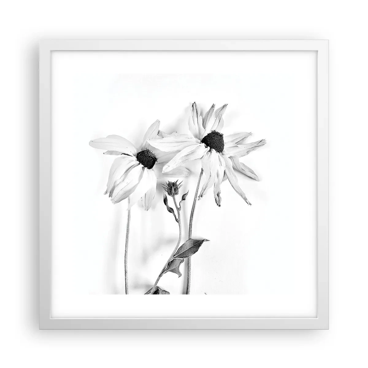 Poster in cornice bianca - Nessuno vuole essere solo - 40x40 cm