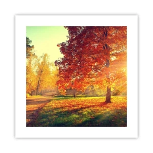 Poster - Rosso è bello - 40x40 cm