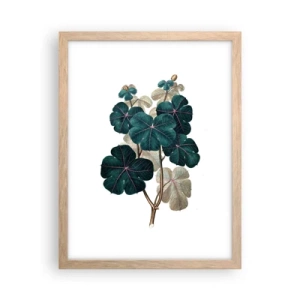 Poster in cornice rovere chiaro - Dal vecchio erbario - 30x40 cm