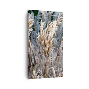 Quadro su tela - Stampe su Tela - Vestite di brina - 45x80 cm