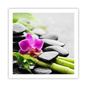 Poster - Un tranquillo equilibrio - 60x60 cm