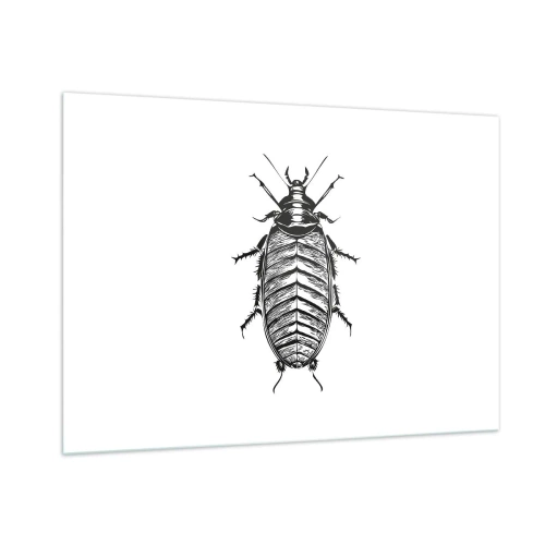 Quadro su vetro - Illustrazione in bianco e nero di un insetto su sfondo bianco - 100x70cm - Che esemplare! - Decorazione murale moderna per soggiorno e camera da letto ARTTOR