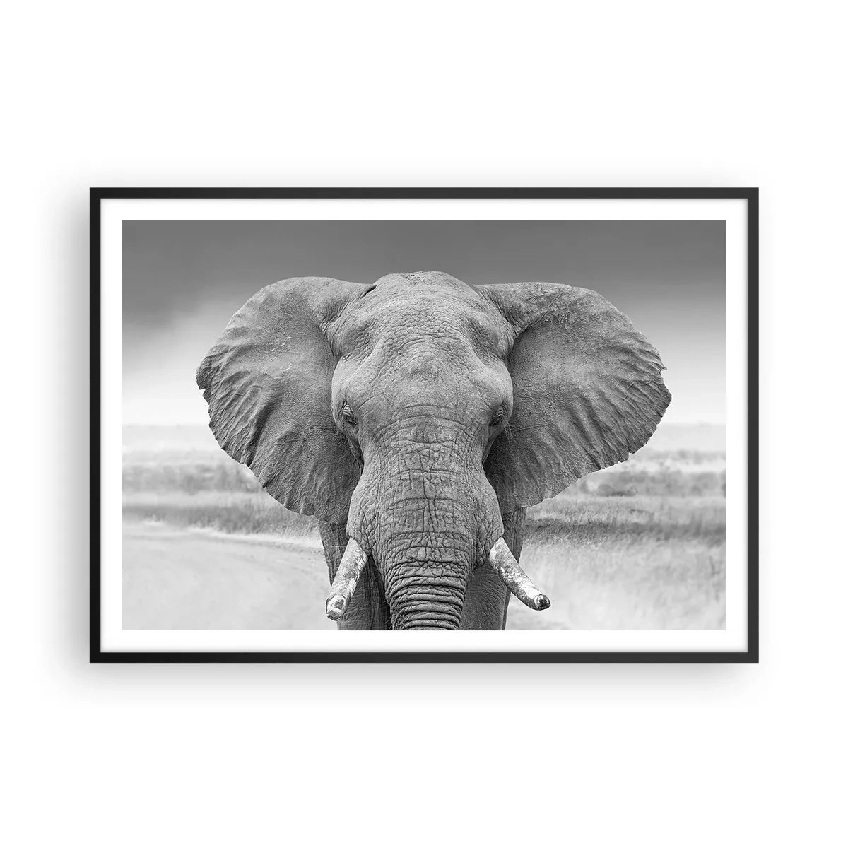 Poster in cornice nera - Ritratto di un elefante in bianco e nero - 100x70cm - Benvenuti nel mio mondo - Decorazione murale moderna per soggiorno e camera da letto ARTTOR