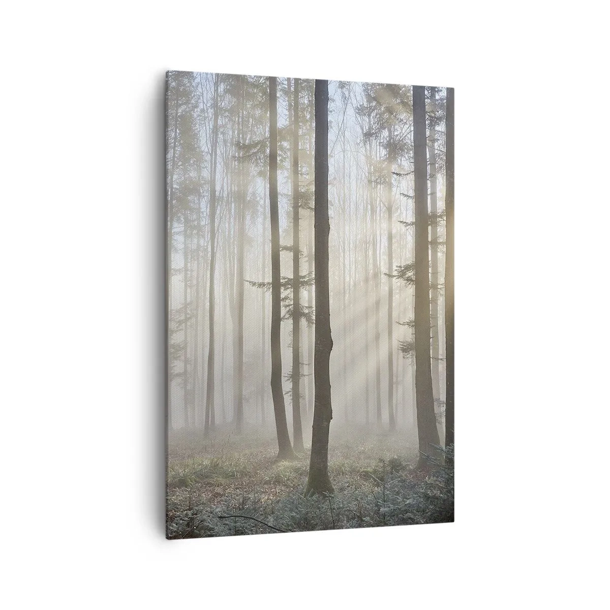 Quadro su tela - Stampe su Tela - Una foresta in una leggera nebbia con raggi di sole che brillano attraverso gli alberi - 70x100cm - Anche la nebbia si è svegliata - Decorazione murale moderna per soggiorno e camera da letto ARTTOR