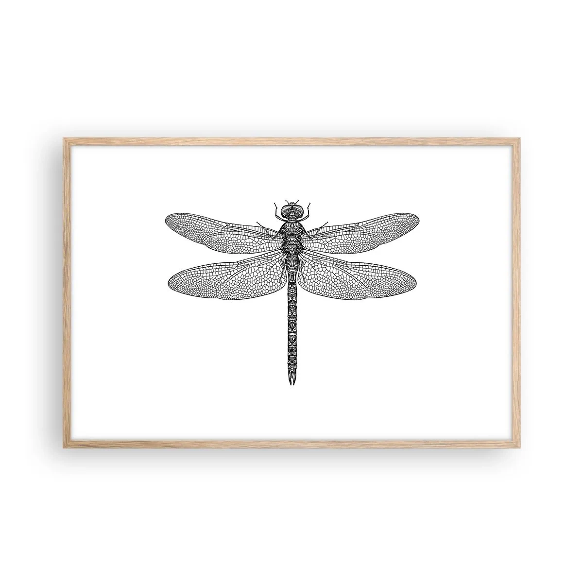 Poster in cornice rovere chiaro - La precisione della natura - 91x61 cm