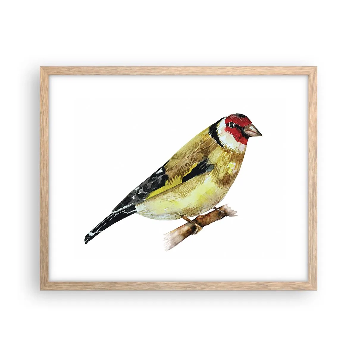 Poster in cornice rovere chiaro - Ritratto di uccello - 50x40 cm
