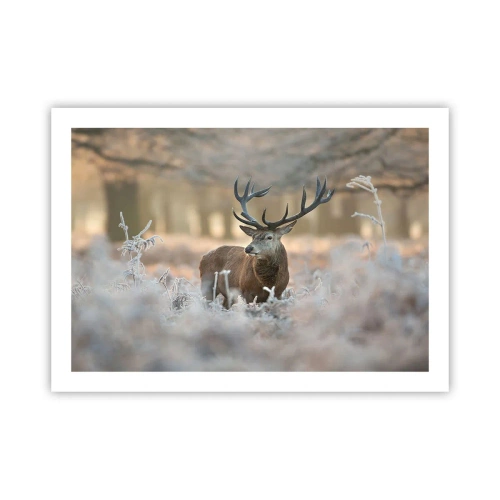 Poster - Fresco mattino - 70x50 cm