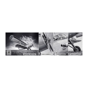 Campione di Fotomurale Premium Sand - Giramondo alato  - Aereo, Aereo, Bianco e nero - 100x30 cm