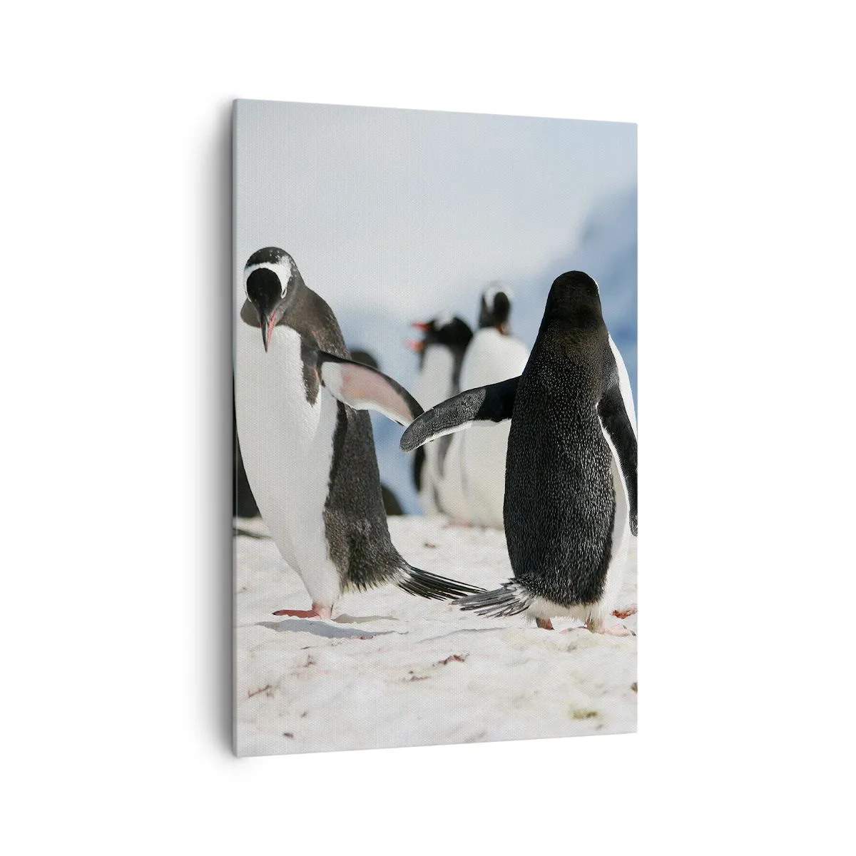 Quadro su tela - Stampe su Tela - Un gruppo di pinguini nella neve in un paesaggio antartico - 70x100cm - Danza sulla neve - Decorazione murale moderna per soggiorno e camera da letto ARTTOR