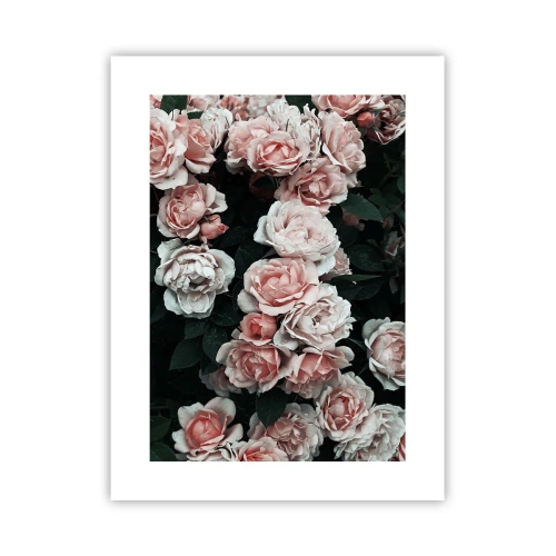 Poster - Composizione di rose - 30x40 cm