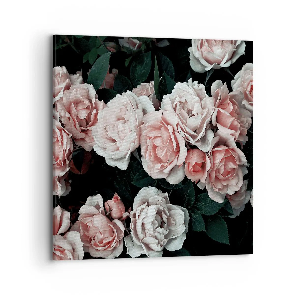Quadro su tela - Stampe su Tela - Composizione di rose - 70x70 cm