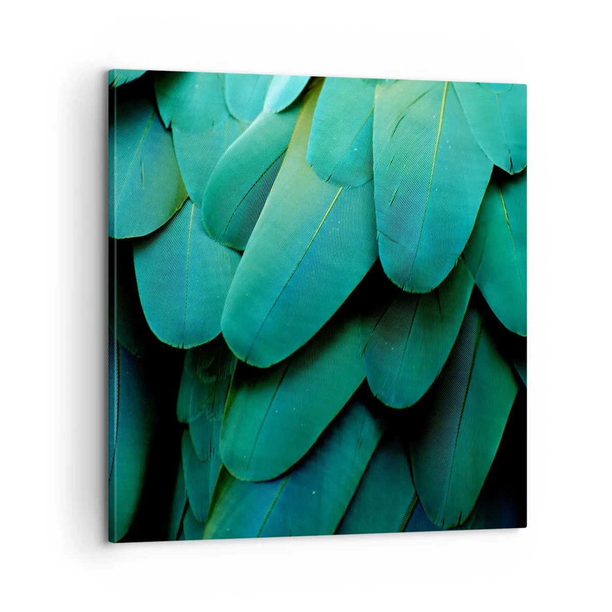 Quadro su tela - Stampe su Tela - Precisione da pappagallo - 60x60 cm