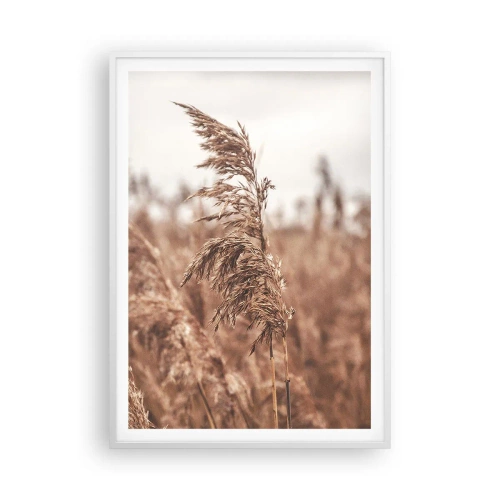 Poster in cornice bianca - Nei campi è già autunno - 70x100 cm