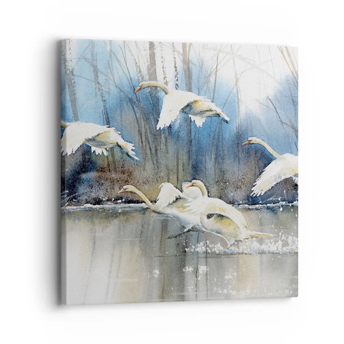 Quadro su tela - Stampe su Tela - Come la favola dei cigni selvatici - 30x30 cm