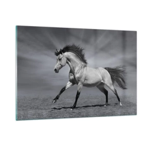 Quadro su vetro - Una foto in bianco e nero di un cavallo al galoppo in un campo aperto. - 120x80cm - Nato per affascinare - Decorazione murale moderna per soggiorno e camera da letto ARTTOR