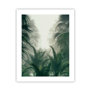 Poster - Mistero dei tropici - 40x50 cm