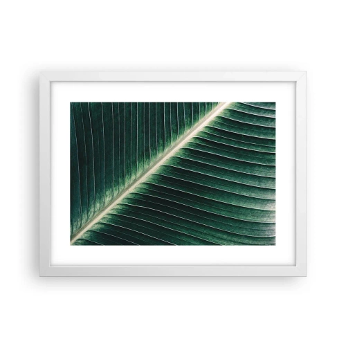 Poster in cornice bianca - Il ritmo della natura - 40x30 cm