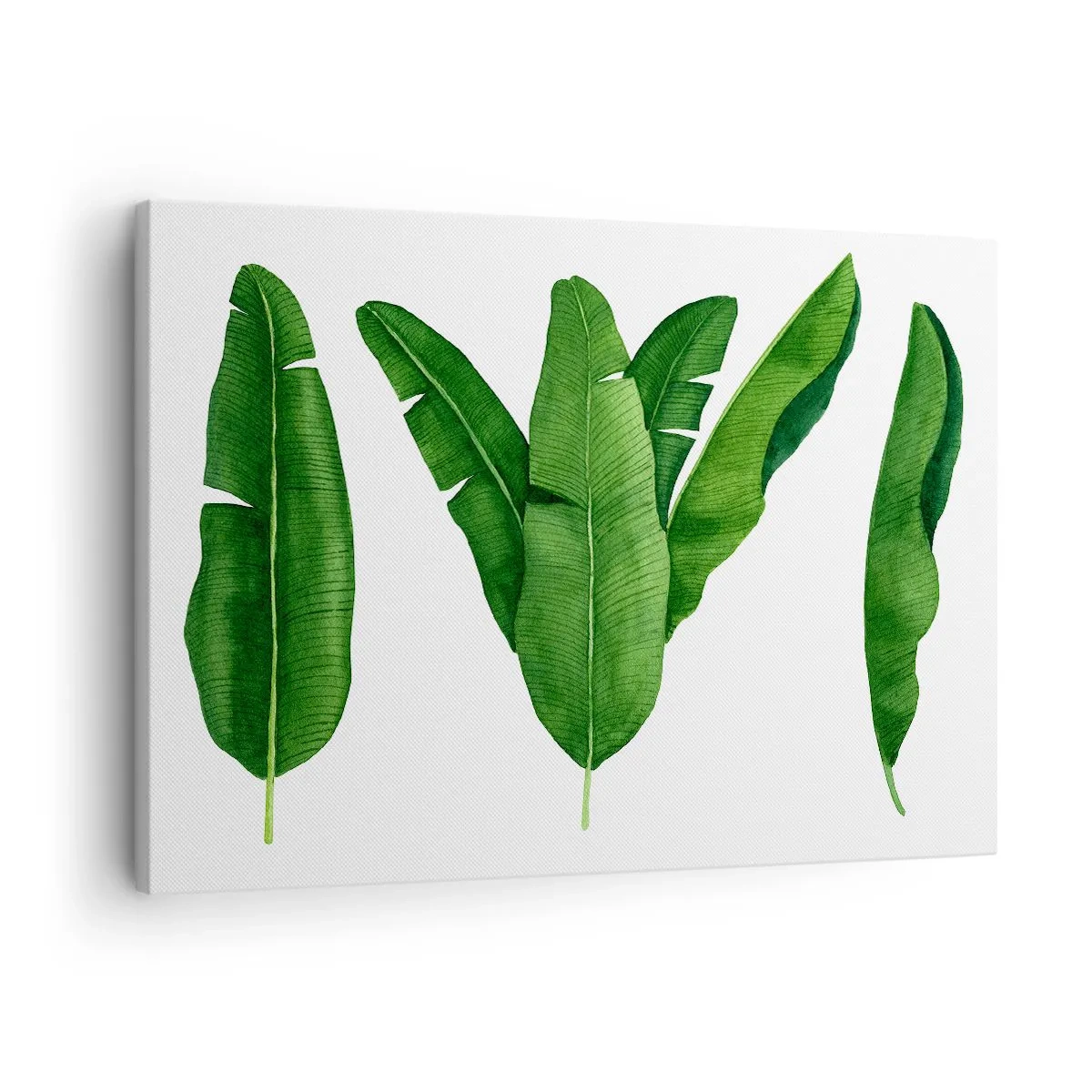 Quadro su tela - Stampe su Tela - Tre foglie di banano in un approccio artistico - 70x50cm - Simmetria verde - Decorazione murale moderna per soggiorno e camera da letto ARTTOR
