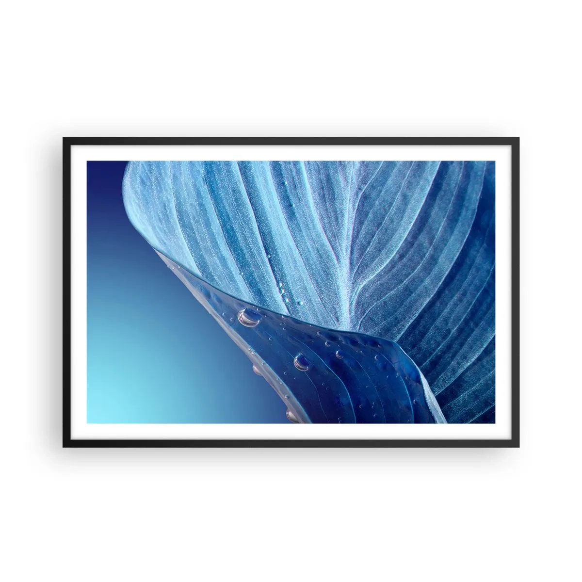 Poster in cornice nera - Gocce di blu nascoste - 91x61 cm