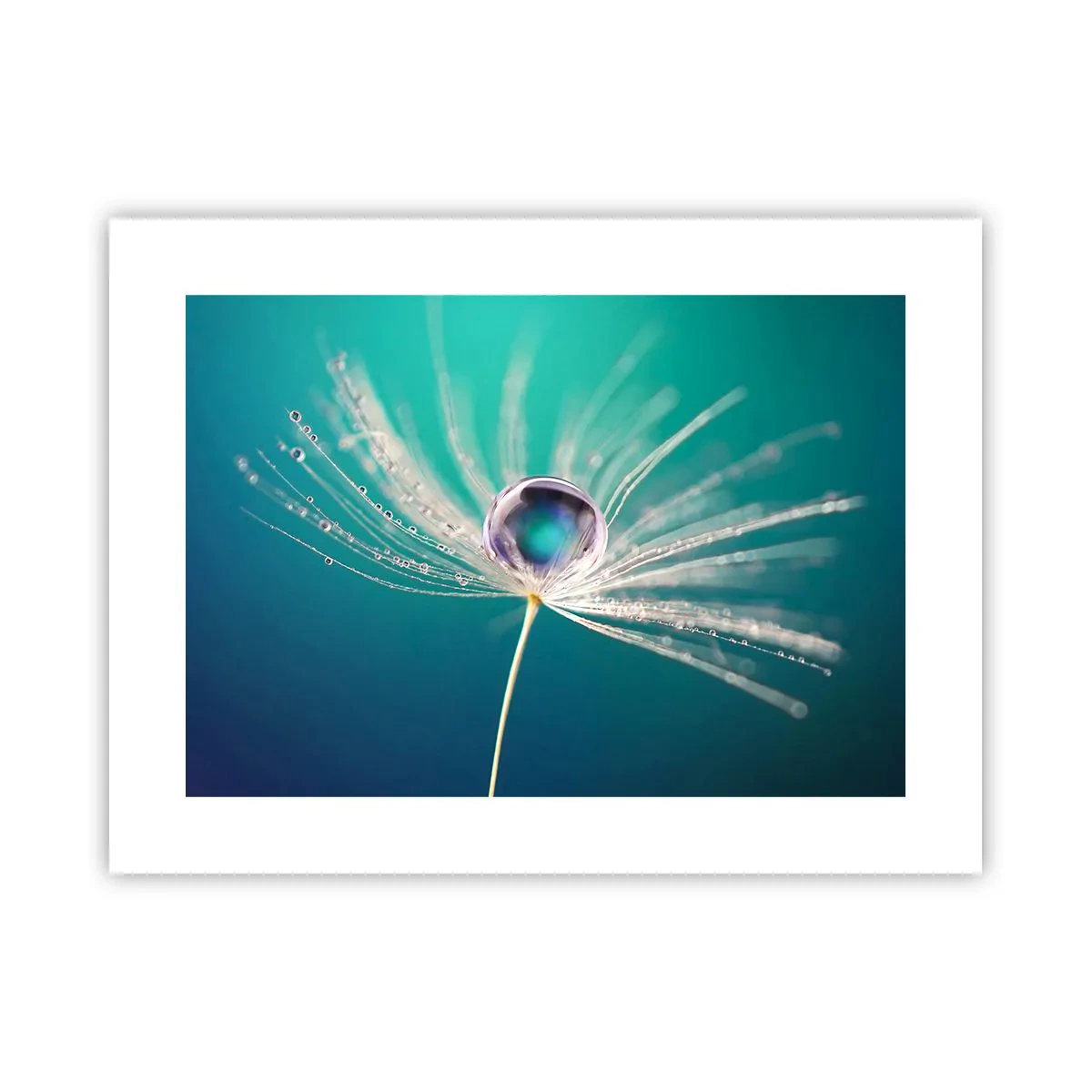 Poster - Attimo mistico - 40x30 cm