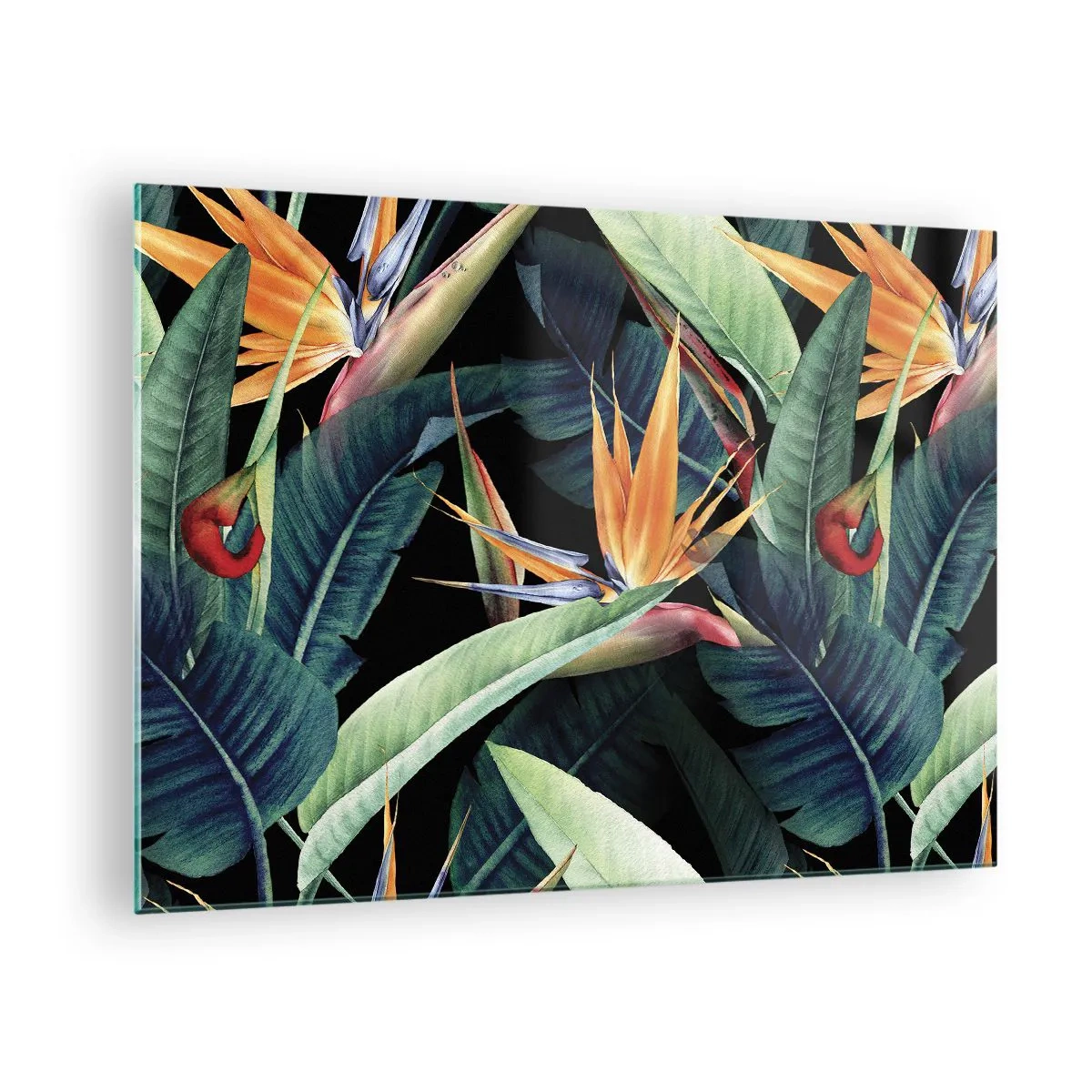 Quadro su vetro - Fiori di strelitzia e foglie tropicali su sfondo nero - 70x50cm - I fiori fiammeggianti dei tropici - Decorazione murale moderna per soggiorno e camera da letto ARTTOR