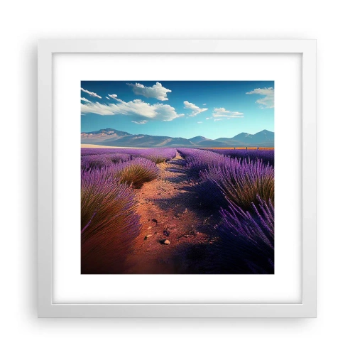 Poster in cornice bianca - Campi profumati - 30x30 cm