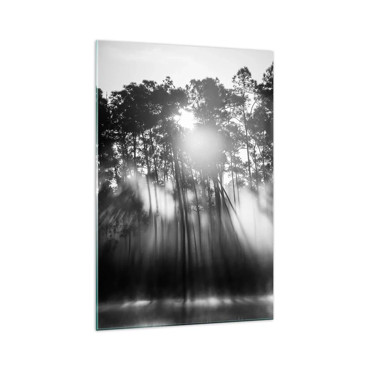 Quadro su vetro - Foresta bianca e nera nella nebbia mattutina - 70x100cm - Sole irrefrenabile - Decorazione murale moderna per soggiorno e camera da letto ARTTOR