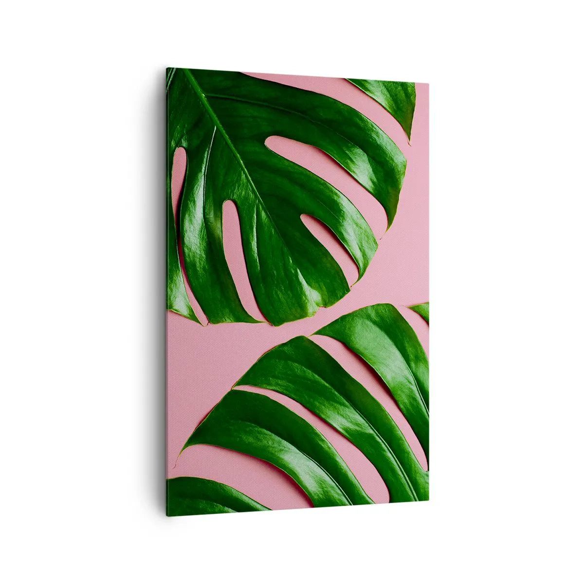 Quadro su tela - Stampe su Tela - Foglie di monstera verdi su sfondo rosa - 80x120cm - Appuntamento in verde - Decorazione murale moderna per soggiorno e camera da letto ARTTOR