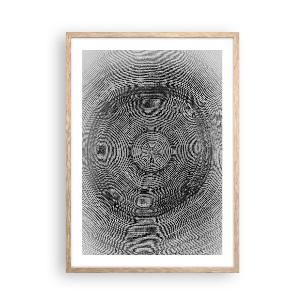 Poster in cornice rovere chiaro - I segni del tempo - 50x70 cm