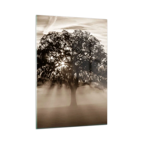 Quadro su vetro - Un albero nella nebbia mattutina con i raggi del sole che brillano attraverso i rami - 50x70cm - L'albero delle sole buone notizie - Decorazione murale moderna per soggiorno e camera da letto ARTTOR