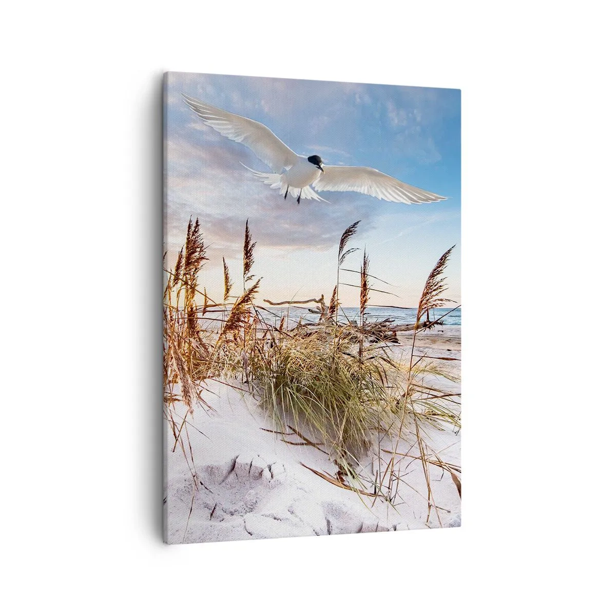 Quadro su tela - Stampe su Tela - Spiaggia con gabbiani che volano al tramonto - 50x70cm - Vento dal mare - Decorazione murale moderna per soggiorno e camera da letto ARTTOR