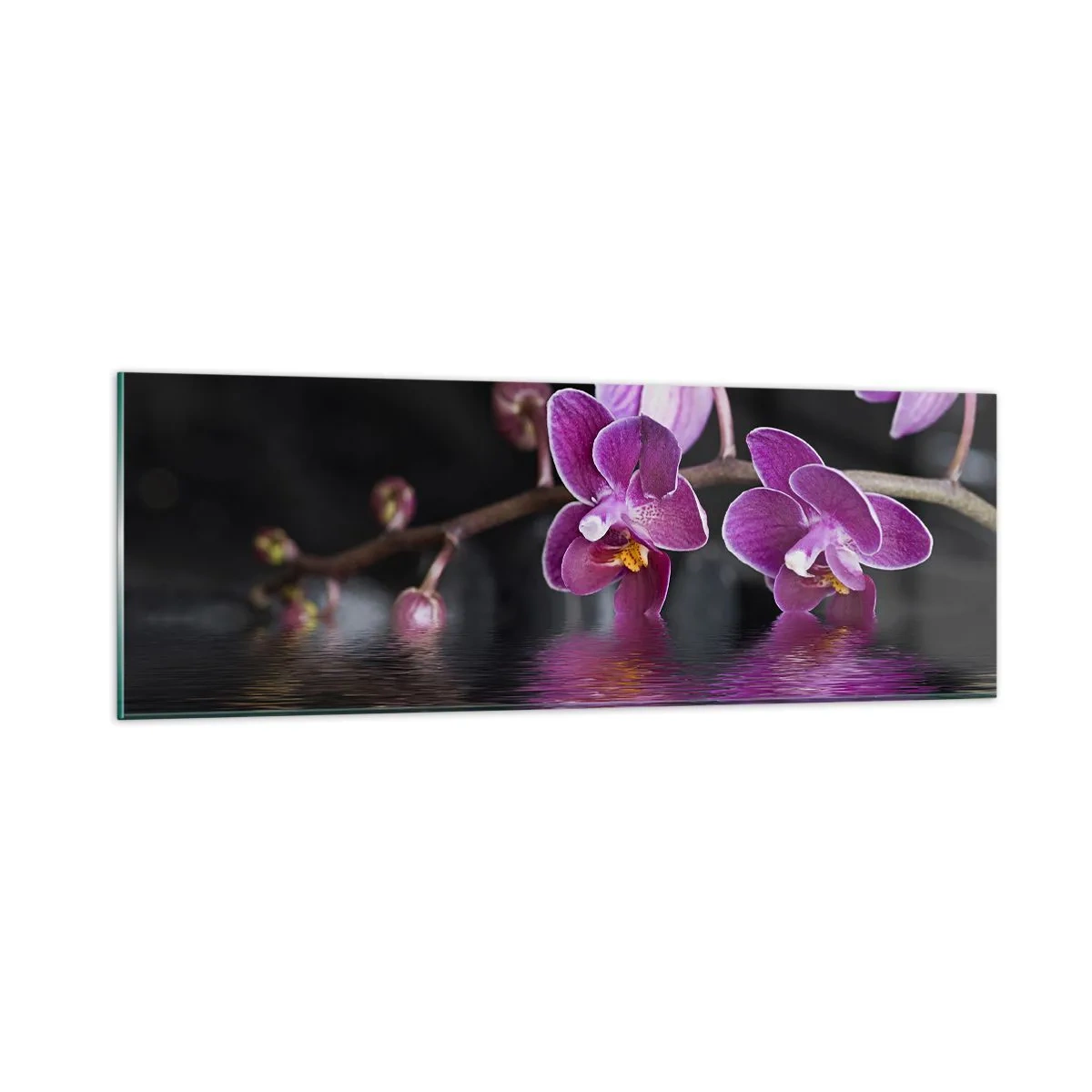 Quadro su vetro - La bellezza riflessa dai gigli - 90x30 cm