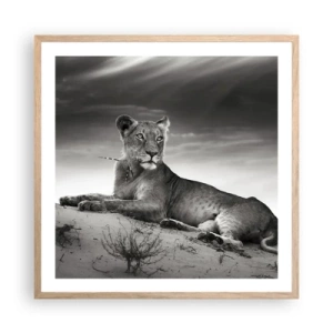 Poster in cornice rovere chiaro - Il riposo della regina del deserto - 60x60 cm