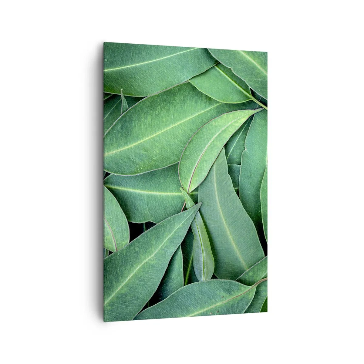 Quadro su tela - Stampe su Tela - Primo piano di foglie verdi che creano un motivo naturale - 80x120cm - Succosi e freschi - Decorazione murale moderna per soggiorno e camera da letto ARTTOR