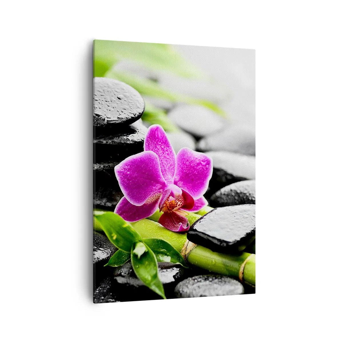 Quadro su tela - Stampe su Tela - Orchidea viola, pietre nere e bambù in una composizione tranquilla - 70x100cm - Un tranquillo equilibrio - Decorazione murale moderna per soggiorno e camera da letto ARTTOR