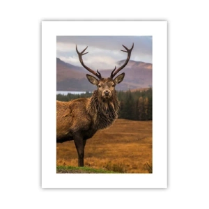 Poster - Maestà della natura - 30x40 cm