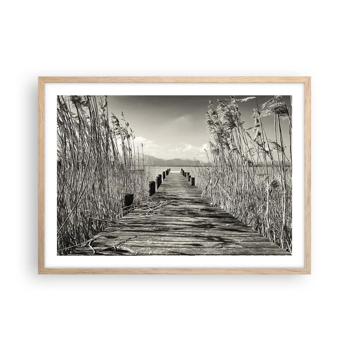 Poster in cornice rovere chiaro - Nel silenzio dell'erba - 70x50 cm